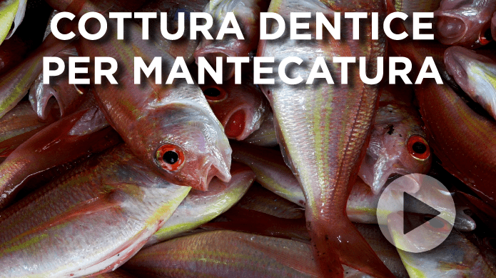 Cottura dentice per mantecatura