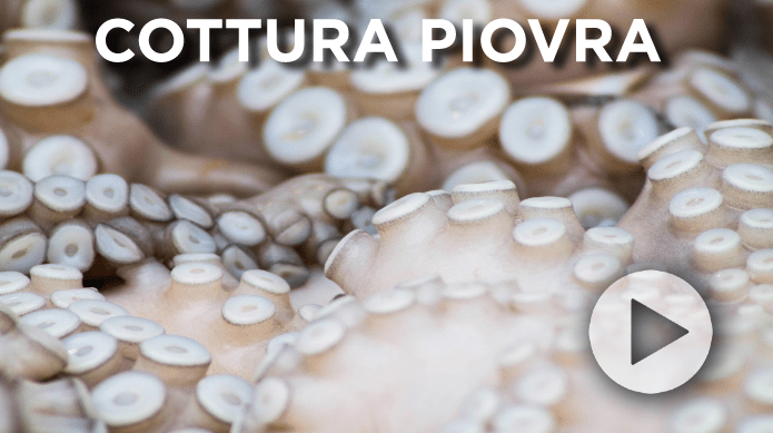 Cottura piovre