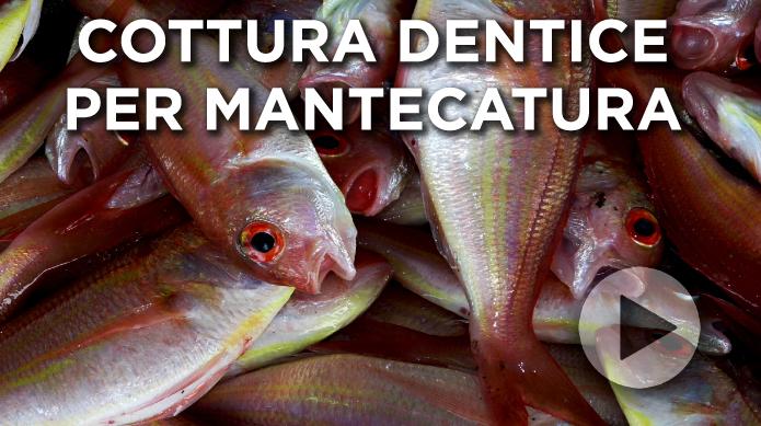 Cottura dentice per mantecatura