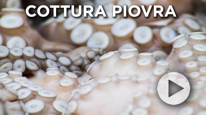 Cottura piovra